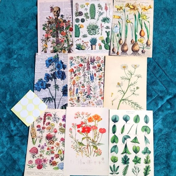 DIY Wall Collage Kit with double sided Wall adhesives DIY Dorm Room Wall Decor - Picture 1 of 7